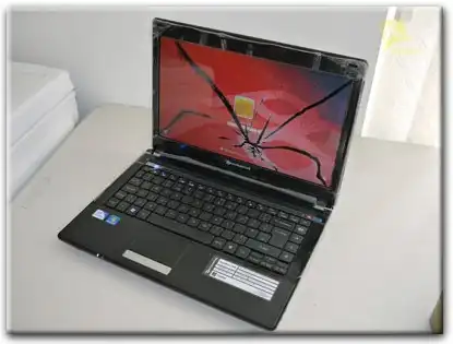 Замена матрицы Packard Bell в Реутове